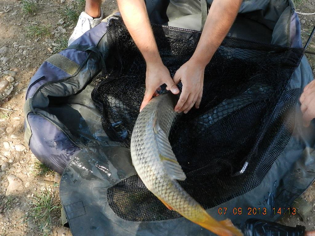 7-8  septembrie20013 - dscn1708.JPG